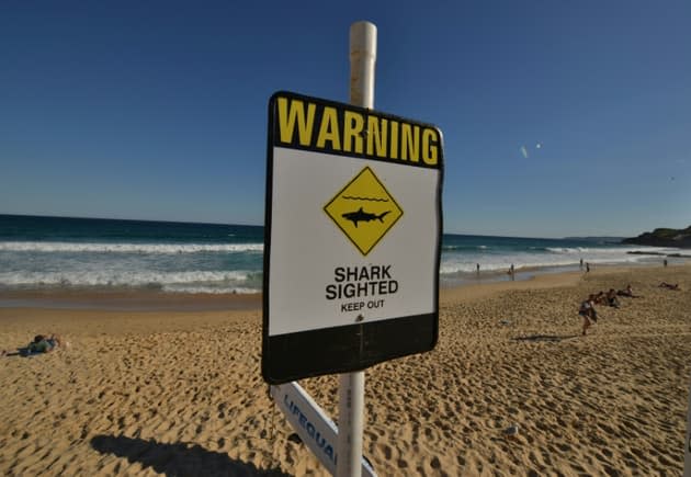 Hawaï: mort d'un surfeur après une attaque de requin