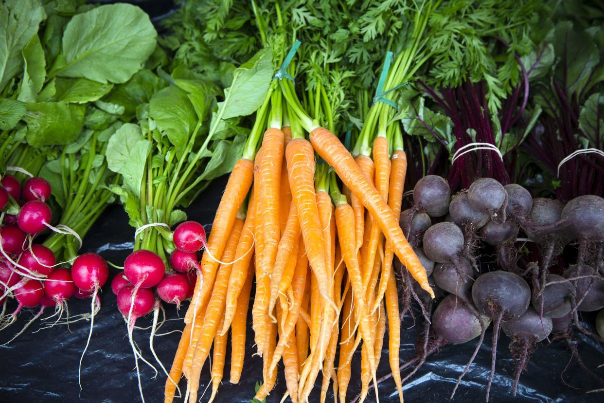 Fresh carrots, radishes, and beets