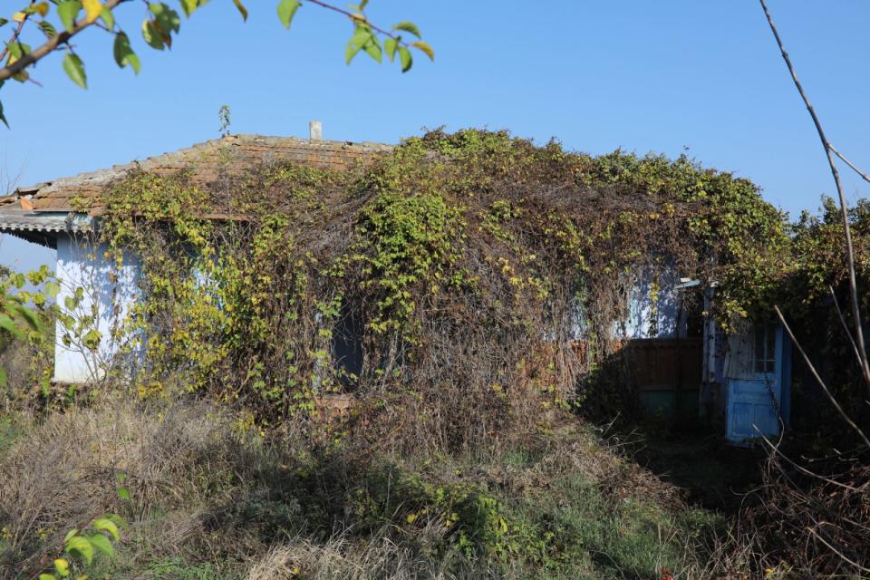 Old Cotul Morii, Moldova.