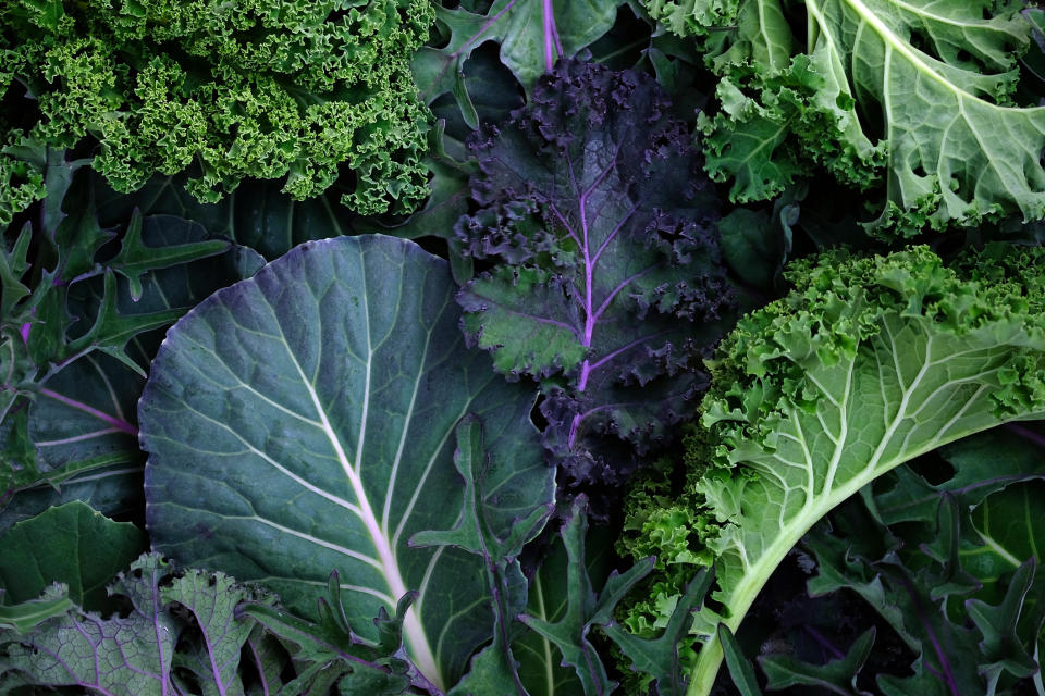 A close-up shot of various kale leaves, showing different textures and shapes