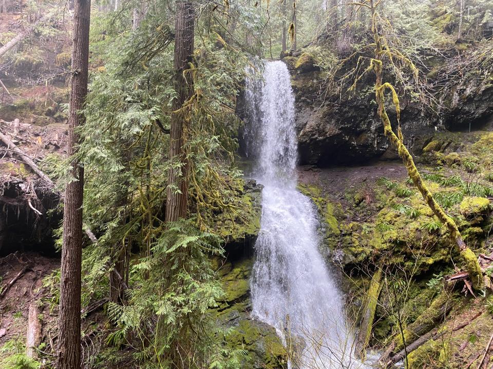 A view of the 65-foot, two-tiered Upper Trestle Creek Falls.