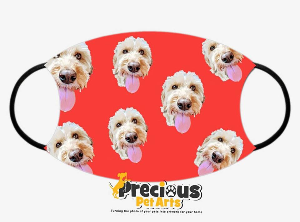 custom pet face masks precious pet art