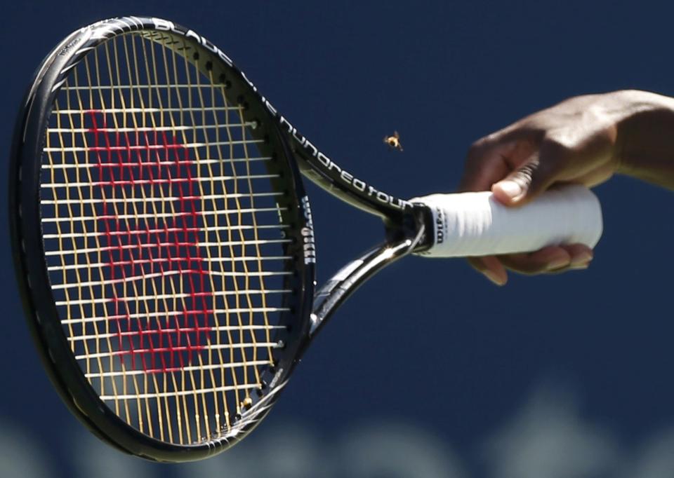 Venus Williams of the U.S. attempts to capture an insect while playing Kimiko Date-Krumm of Japan during their match at the 2014 U.S. Open tennis tournament in New York