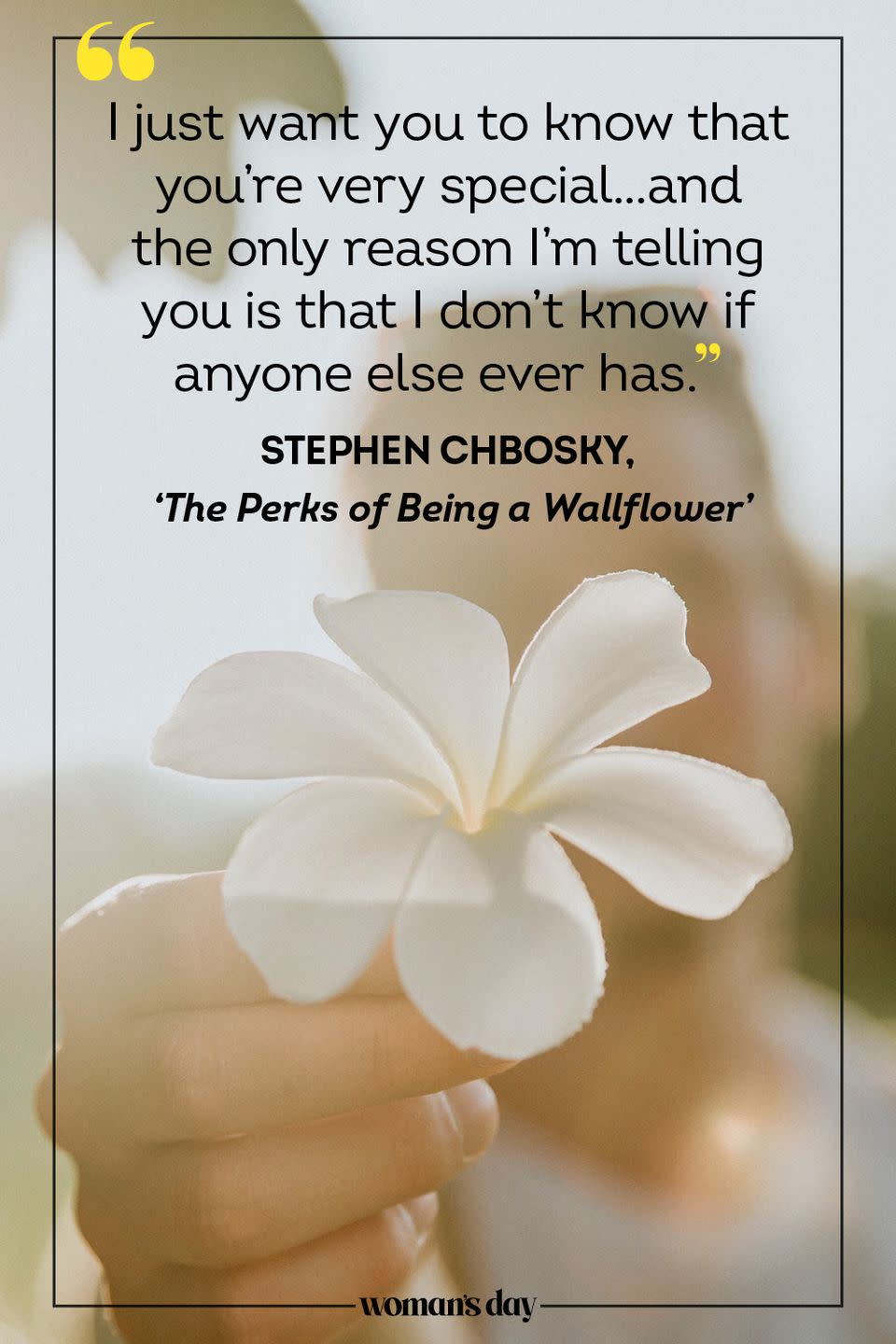 valentines day quotes stephen chbosky the perks of being a wallflower