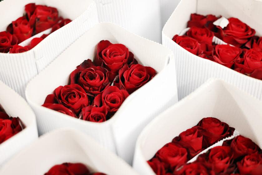 LOS ANGELES, CA - FEBRUARY 12: Bouquets of roses are sold at Julia's Wholesale Flowers inside the Los Angeles Flower Market in downtown on Friday, Feb. 12, 2021 in Los Angeles, CA. Crowds gathered in preparation for Valentine's Day on Sunday. (Dania Maxwell / Los Angeles Times)