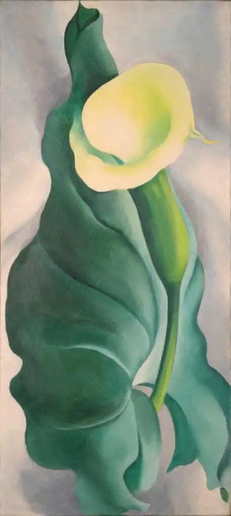Georgia O’Keeffe's 1927 oil on canvas painting "Calla Lily (Lily – Yellow No. 2)" is part of the Oklahoma Museum of Art's permanent collection.