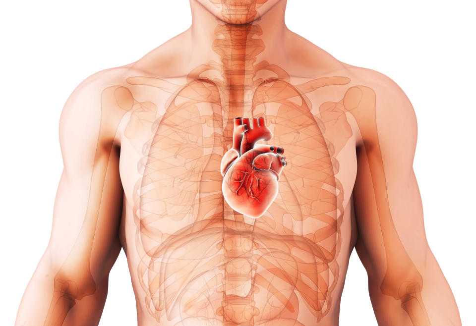 3D illustration of Heart - Part of Human Organic.