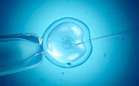 The process could make IVF dramatically simpler - Credit: Sebastian Kaulitzki
