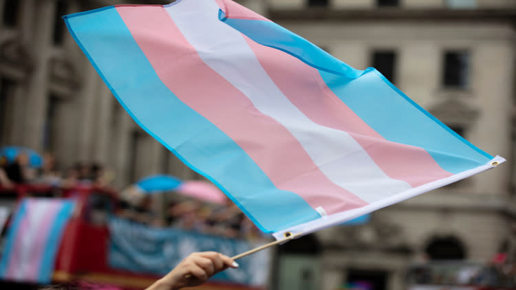 Trans flag