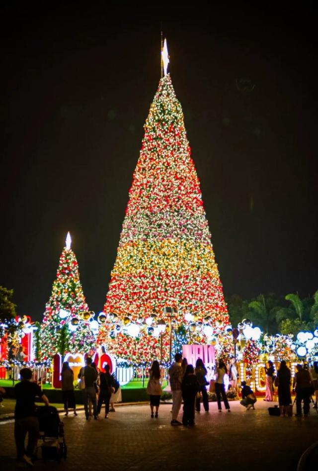 Estos son los árboles de Navidad más altos del mundo (y 2 están en