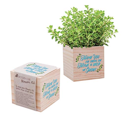 Desk Accessory for The Office - Thyme Plant Seed Packet, Peat Pellet, Wooden Cube Planter with "Thank You for Taking The Thyme to Help Me Grow!" Design - Employee Appreciation Gift (Amazon / Amazon)