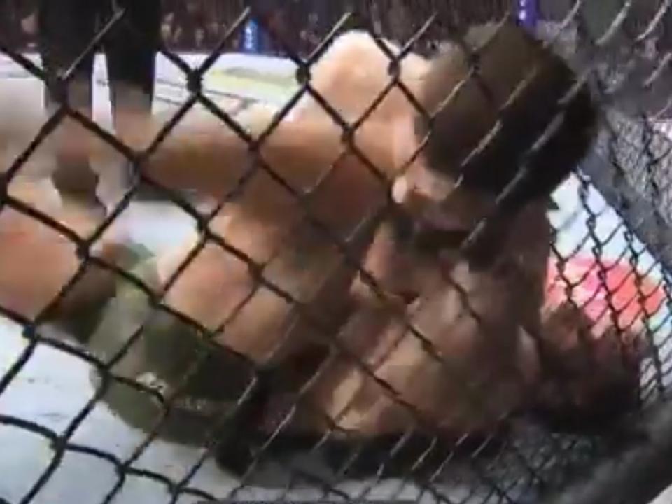 Conor McGregor struck Khabib Nurmagomedov with an illegal knee to the eye during their UFC bout (BT Sport)