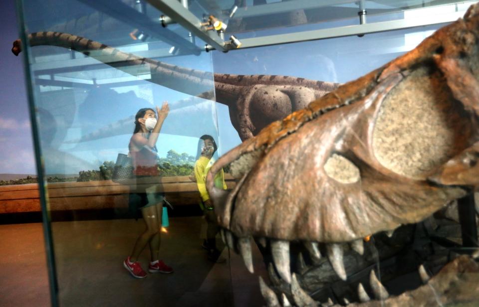 Eleanor Lin and her daughter Elise, 7, look over an exhibit in the Dinosaur Hall at the Natural History Museum.