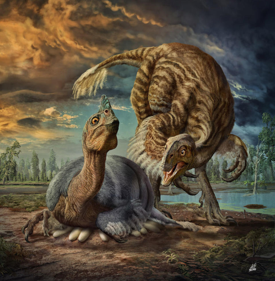 Embryo of Colossal Dinosaur Was Preserved for 90 Million Years