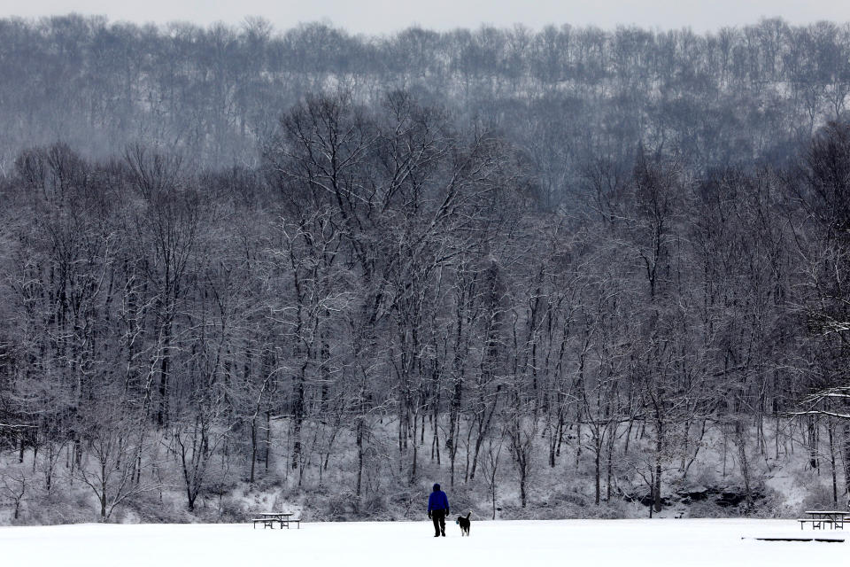 <p>Idyllische Winterlandschaft im US-Bundestaat New York: Ein Mann und sein Hund gehen im Rockland Lake State Park spazieren. (Bild: Reuters/Mike Segar) </p>