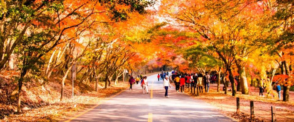 Autumn in South Korea