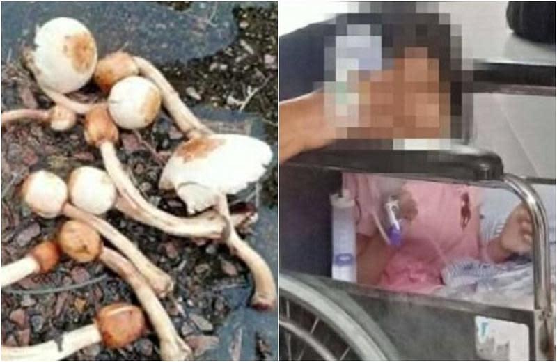 馬來西亞一家9口誤食毒蘑菇，集體中毒送醫搶救。（翻攝Nurul的臉書）