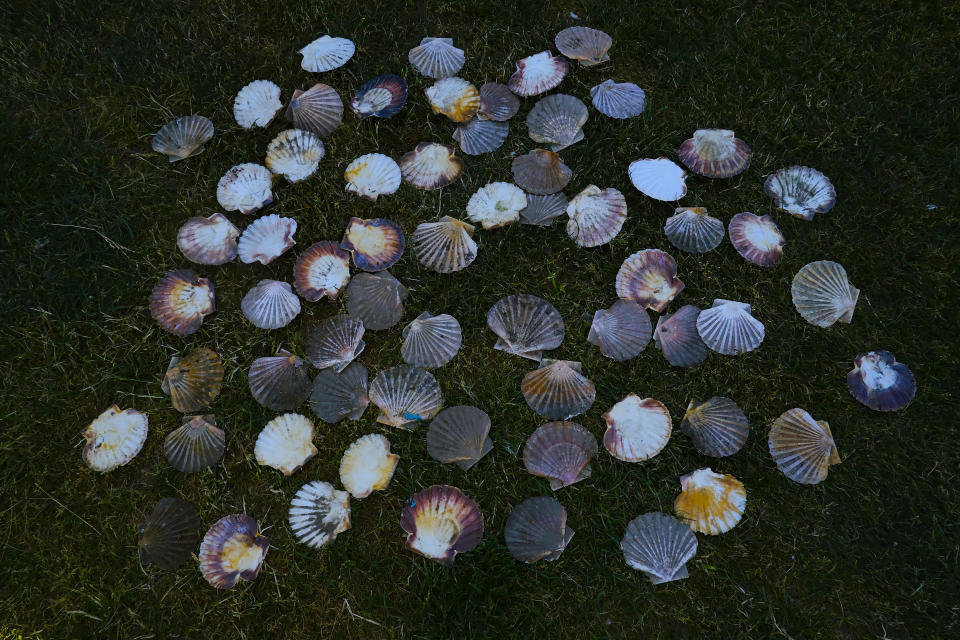 Shells belonging to pilgrims, the symbol of the "Camino de Santiago" or St. James Way in Villarmertero de Campos, northern Spain, Friday, June 3, 2022. Over centuries, villages with magnificent artwork were built along the Camino de Santiago, a 500-mile pilgrimage route crossing Spain. Today, Camino travelers are saving those towns from disappearing, rescuing the economy and vitality of hamlets that were steadily losing jobs and population. “The Camino is life,” say villagers along the route. (AP Photo/Alvaro Barrientos)