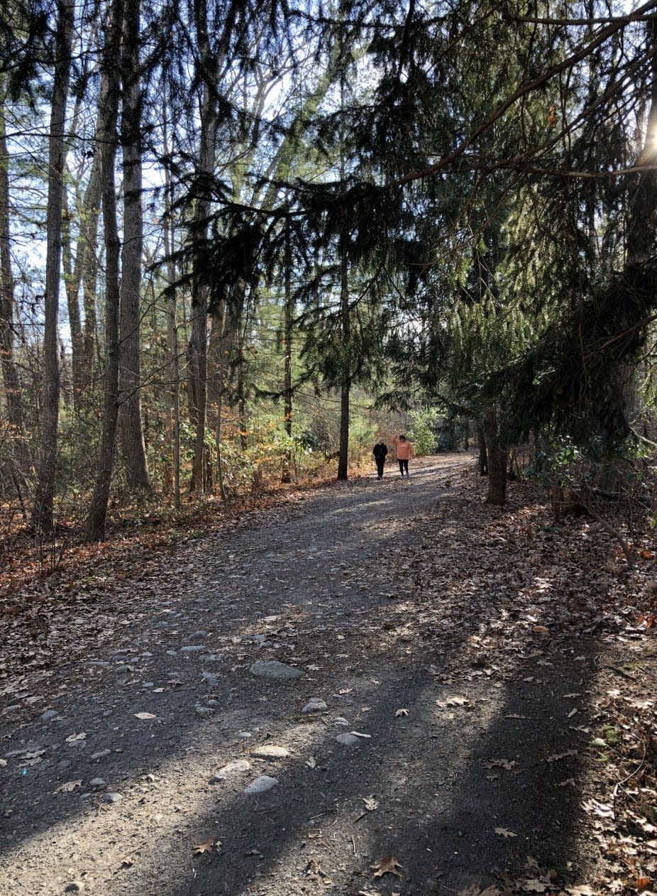 Walkers have plenty of room on an early-morning visit to Norris Reservation in Norwell.