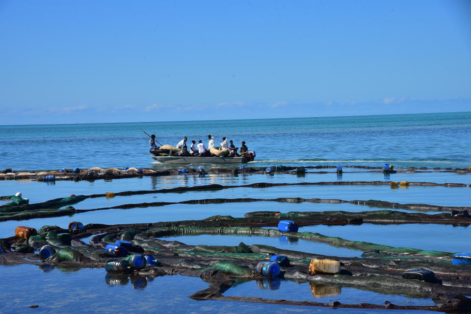 Volunteers take part in the clean up operation in Mahebourg, Mauritius, Wednesday Aug. 12, 2020, surrounding the oil spill from the MV Wakashio, a bulk carrier ship that recently ran aground off the southeast coast of Mauritius. Anxious residents of this Indian Ocean island nation have stuffed fabric sacks with sugar cane leaves in an effort to stop the oil spill from reaching their shores. (AP Photo/Beekash Roopun-L'express Maurice)