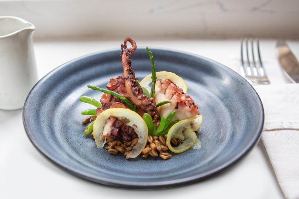 Impeccable sourcing: the octopus (Adrian Lourie)