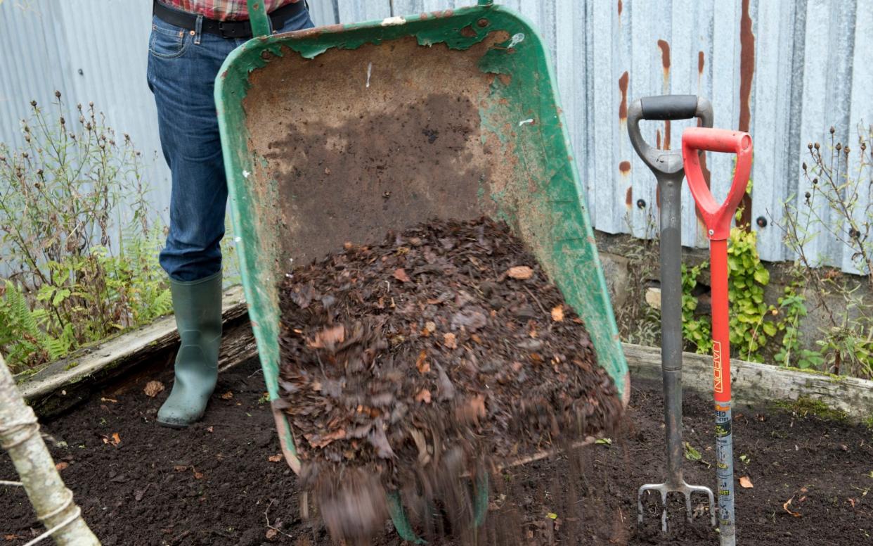 Gardener emptying barrow load of mulch into  vegetable bed in autumn - Â© Andrea Jones/Garden Exposures Photo Library