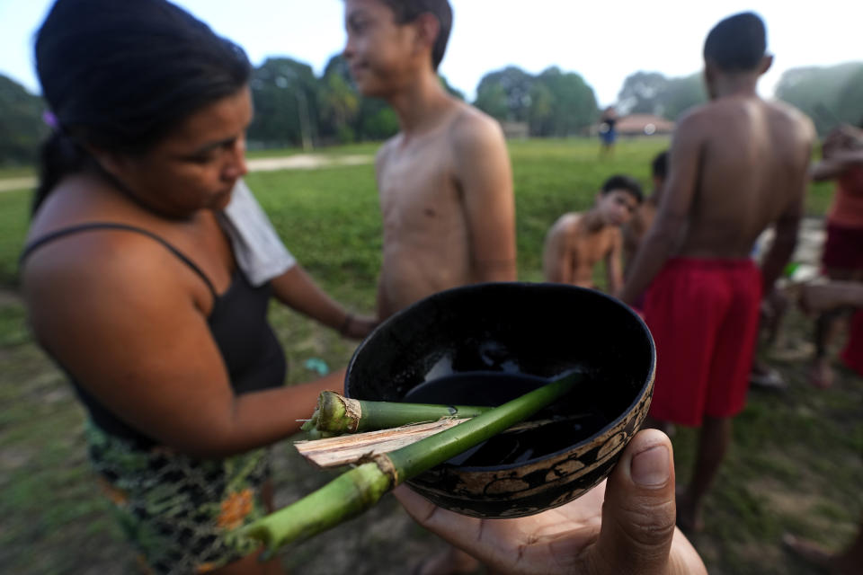 Una persona sostiene un cuenco con jugo de genipap, utilizado tradicionalmente por los indígenas como pintura corporal, durante el segundo día del rito de madurez Wyra'whaw, en el centro ritual Ramada, en la aldea Tenetehar Wa Tembe, en la tierra indígena Alto Río Guamá, en el estado de Pará, Brasil, el 10 de junio de 2023. (AP Foto/Eraldo Peres)