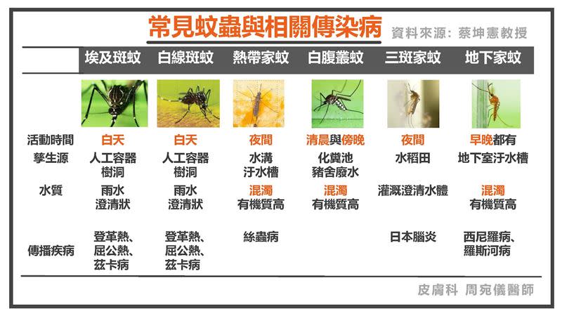 不同蚊子，不僅習性、出沒時間不同，會傳播的疾病也不一樣。（圖／皮膚科 周宛儀醫師；真心皮膚科診所授權提供）