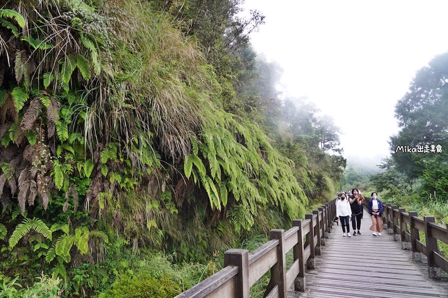 宜蘭｜太平山翠峰湖環山步道