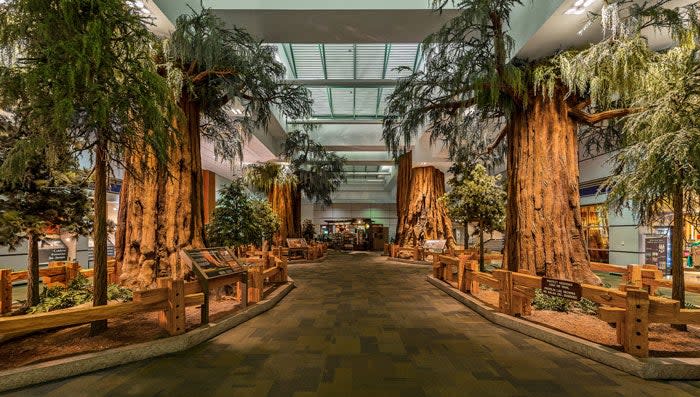 Sequoia exhibit in the terminal of the Fresno Yosemite International Airport