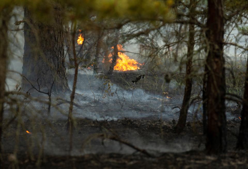 First responders including firefighters of the New Jersey State Forest Fire Service battle a fire in the northern area of Wharton State Forest.  Shamong, NJTuesday, June 21, 2022