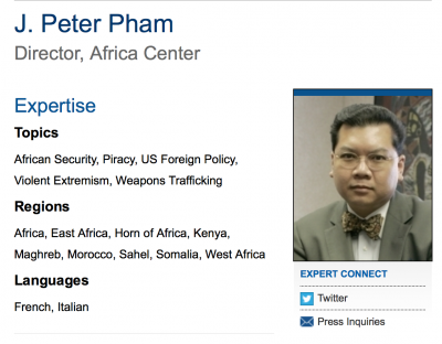 太西洋理事會的非洲中心主任彼得·范姆。