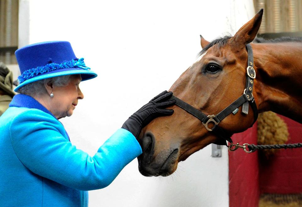 Queen Elizabeth at Cotts Equine Hospital in 2014.