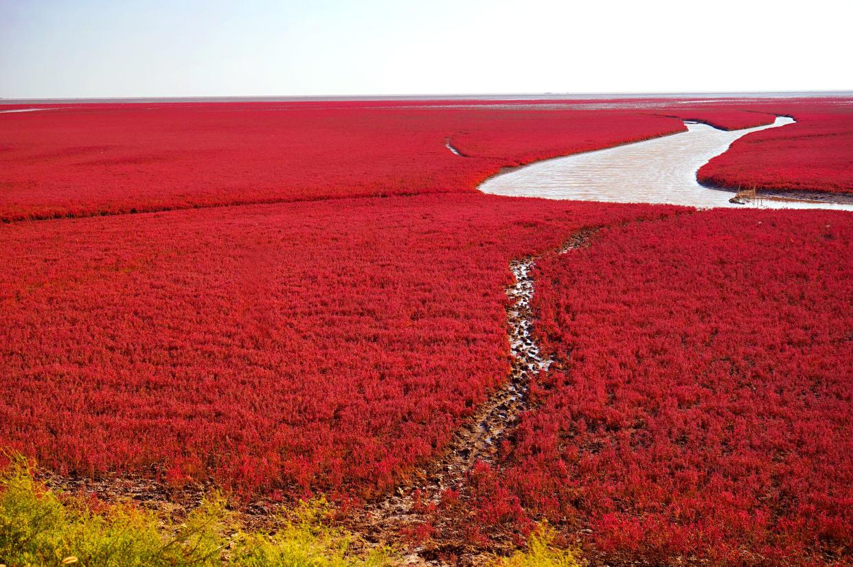 The Red Beach