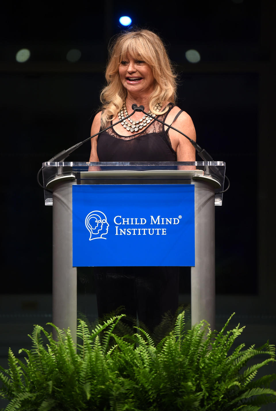 Goldie Hawn is the CEO of MindUp for Life, an organization that focuses on children's mental health issues. (Image via Getty Images)