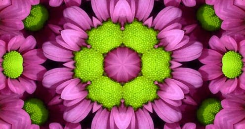   <span class="attribution"><a class="link " href="https://www.shutterstock.com/image-photo/kaleidoscope-flower-422283808" rel="nofollow noopener" target="_blank" data-ylk="slk:Enase/Shutterstock.com;elm:context_link;itc:0;sec:content-canvas">Enase/Shutterstock.com</a></span>