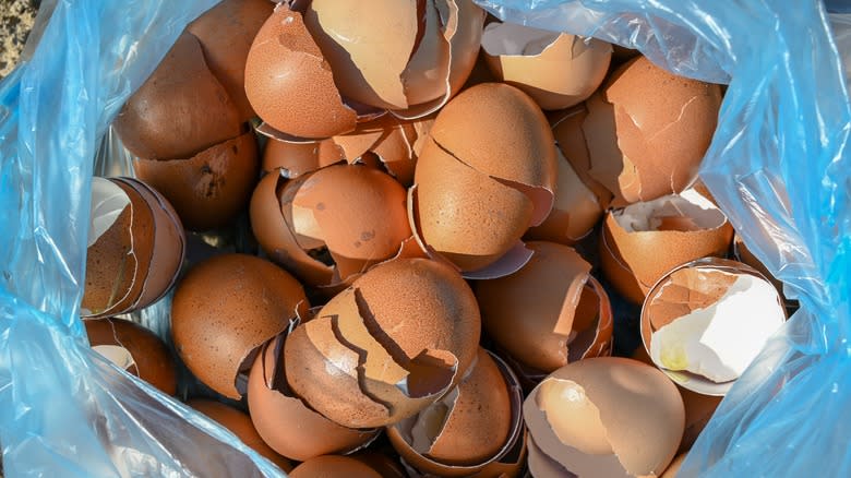 brown eggshells in trash