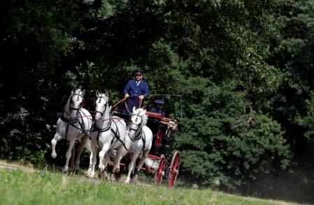 An employee of The National Stud Kladruby nad Labem rides a carriage at a farm in the town of Kladruby nad Labem