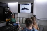 Marine biologist Ines, background left, gives a briefing to tourists before taking them out in a boat to watch dolphins in Lisbon, Friday, June 24, 2022. Starting Monday the United Nations is holding its five-day Oceans Conference in Lisbon hoping to bring fresh momentum for efforts to find an international agreement on protecting the world's oceans. (AP Photo/Armando Franca)