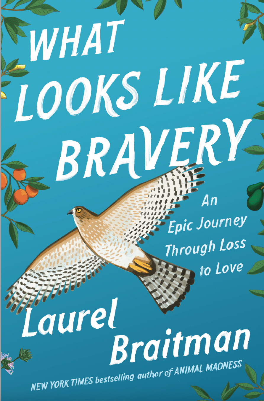 Laurel Braitman's book "What Looks Like Bravery" will be available for sale starting Tuesday.