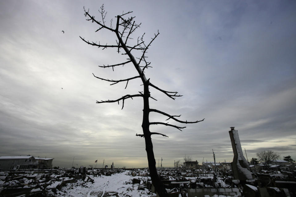 A fire-scorched tree stands in the landscape of Breezy Point after a Nor'easter snow, Thursday, Nov. 8, 2012 in New York. The beachfront neighborhood was devastated during Superstorm Sandy when a fire pushed by the raging winds destroyed many homes. (AP Photo/Mark Lennihan)