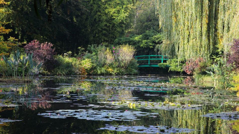 japanese bridge and lily pond, giverny