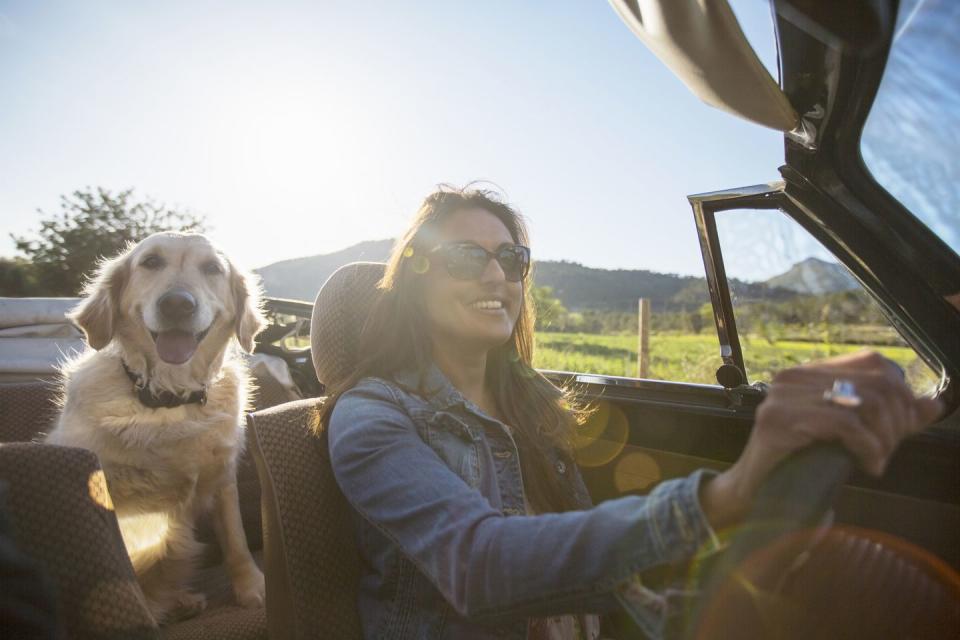 country dog names dog in convertible with owner