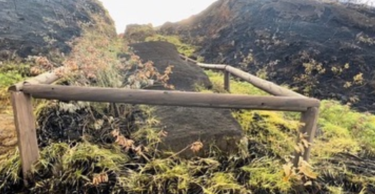 A forest fire that ripped through part of Easter Island charred some of its towering iconic carved stone figures, Chilean officials reported. The blaze, caused by the nearby Rano Raraku volcano, started Oct. 3.