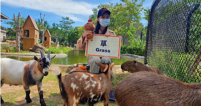 六福村全新企劃「動物園實境解謎」影片，節目穿插動物英語學習單元寓教於樂。（圖／六福村提供）