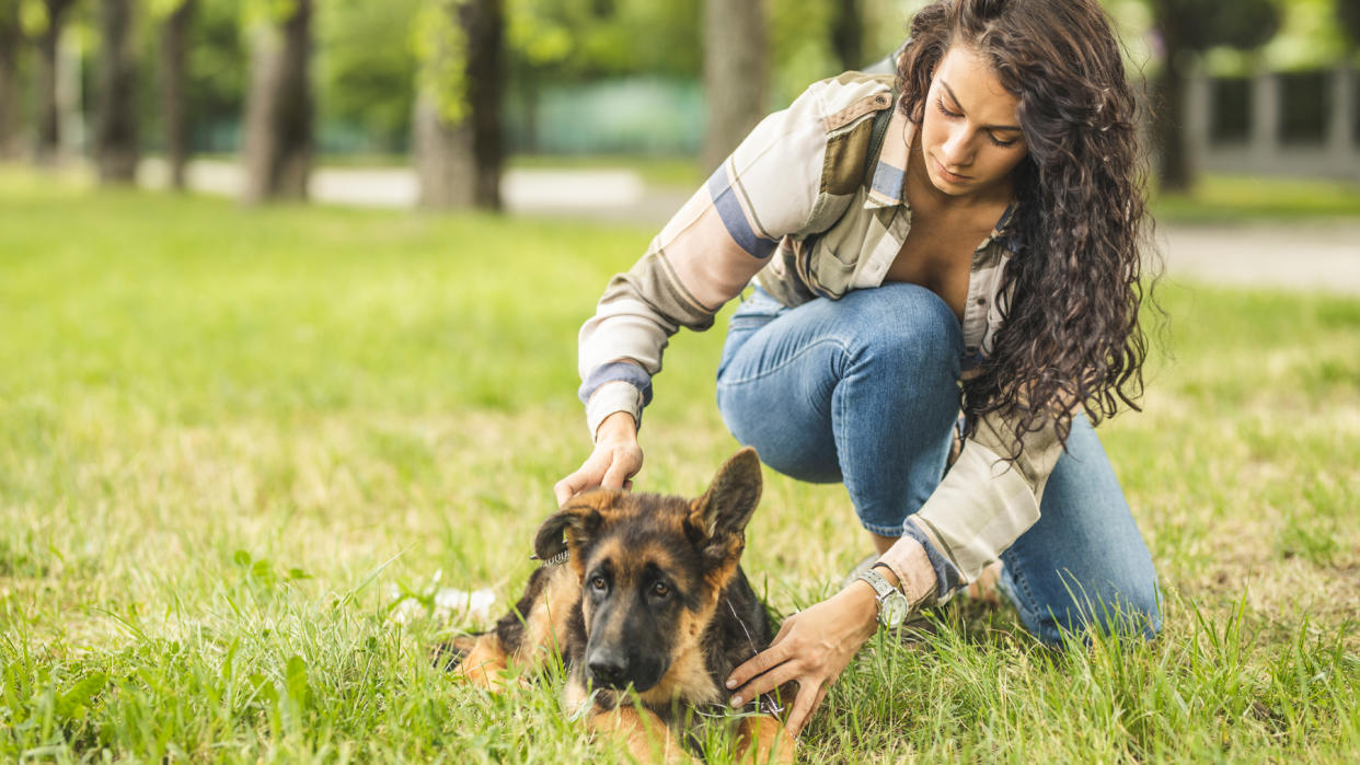  Woman comforts dog lying down on grass 