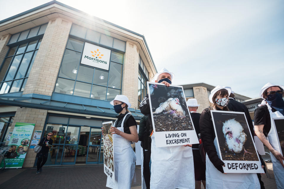 Protesters descended on nearly 20 Morrisons stores. (Open Cages)