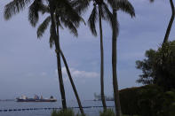 Netherlands-flagged dredger Vox Maxima is seen anchored off the coast in Sentosa Island in Singapore, Sunday, June 16, 2024. An oil spill caused by the dredger boat hitting a stationary cargo tanker has blackened part of Singapore’s southern coastline, including the popular resort island of Sentosa, and sparked concerns it may threaten marine wildlife. (AP Photo/Suhaimi Abdullah)