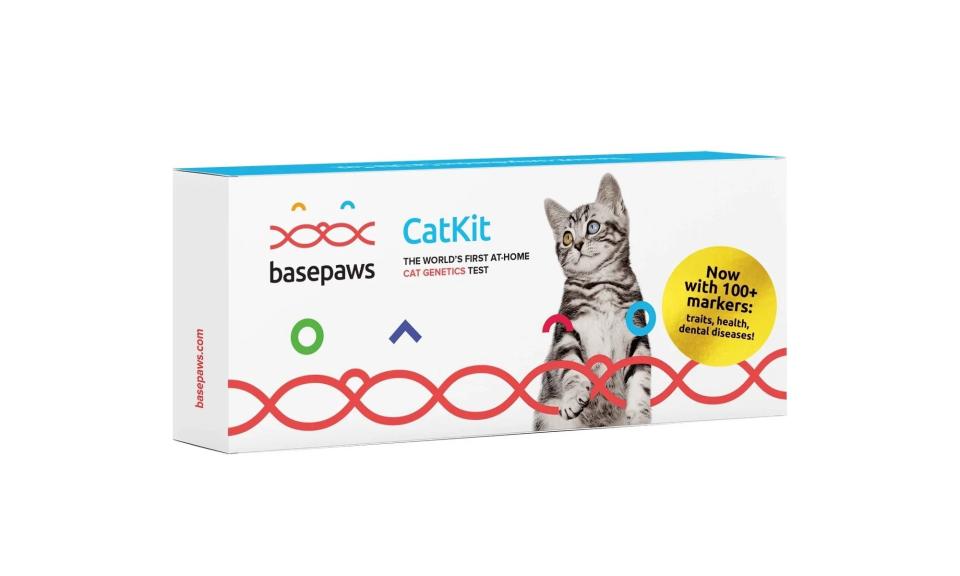 <p><a href="https://go.redirectingat.com?id=74968X1596630&url=https%3A%2F%2Fbasepaws.com%2Fproducts%2Fbasepaws-cat-dna-test%3Fvariant%3D21200651911227&sref=https%3A%2F%2Fwww.womansday.com%2Frelationships%2Ffamily-friends%2Fg29480271%2Fgifts-for-cat-lovers%2F" rel="nofollow noopener" target="_blank" data-ylk="slk:Shop Now;elm:context_link;itc:0;sec:content-canvas" class="link ">Shop Now</a></p><p>Breed + Health Cat DNA Test</p><p>basepaws.com</p><p>$89.00</p><span class="copyright">Basepaws</span>