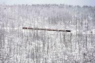 A steam train travels through a snow covered landscape near northern Germany's 1,142-meter (3,743 feet) highest mountain 'Brocken' at the Harz mountains near Schierke, Germany, Wednesday, Jan. 17, 2024. (AP Photo/Matthias Schrader)